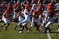 _MG_6905