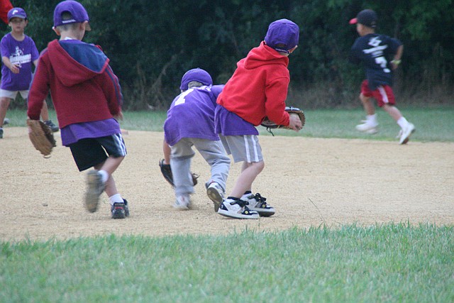 IMG_6337.jpg