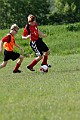 _MG_2502