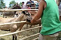 IMG_5301