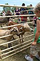 IMG_5309