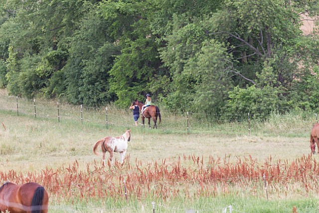 _MG_4399.jpg