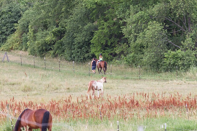 _MG_4400.jpg