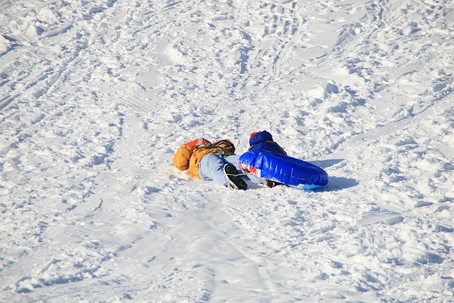 IMG_6530.JPG
