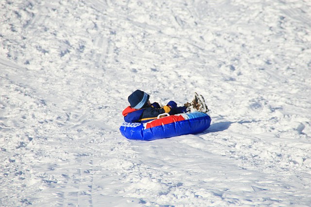 IMG_6561.JPG