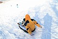IMG_6542