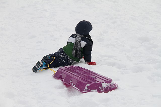 _MG_8395.jpg