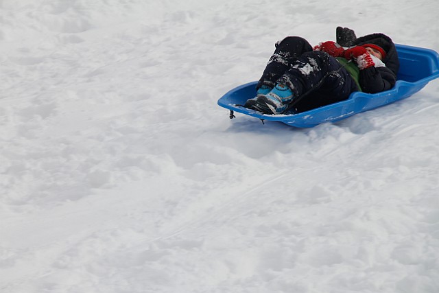 _MG_8475.jpg
