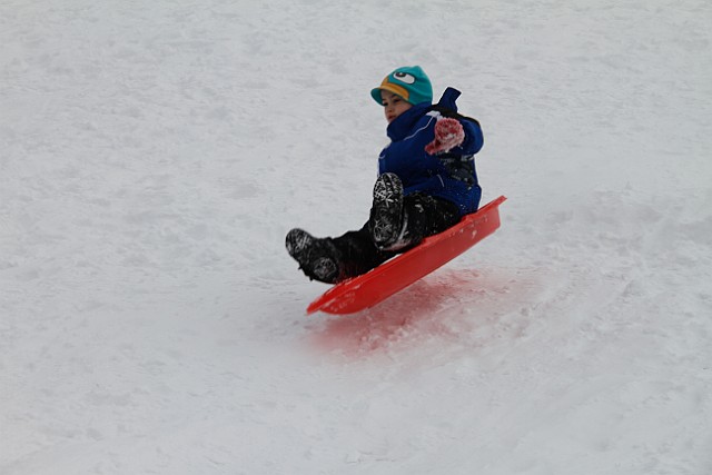 _MG_8562.jpg