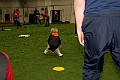IMG_0172