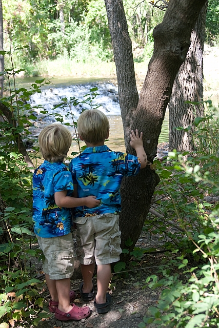 IMG_7728.jpg