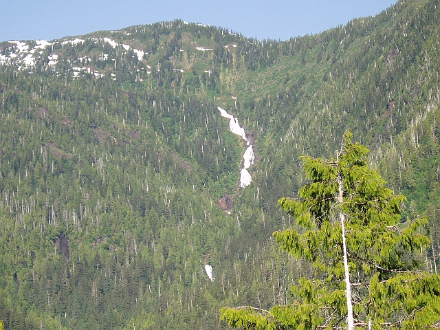 P6120028.jpg