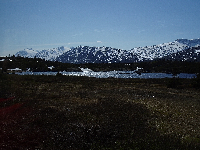 P6140040.jpg