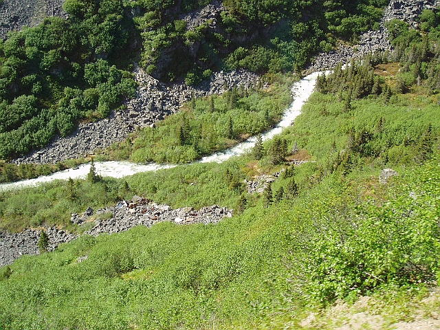 P6140044.jpg