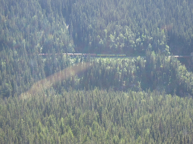 P6140048.jpg
