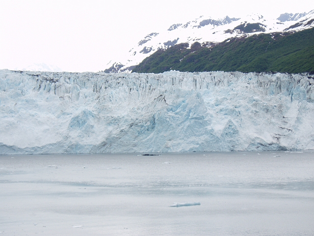 P6160186.jpg