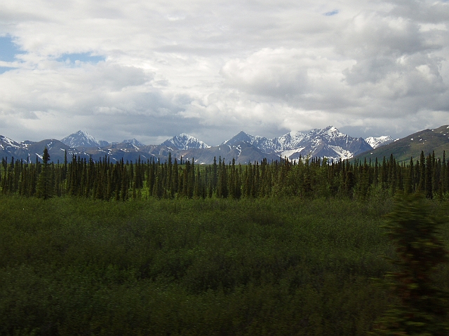 P6170220.jpg