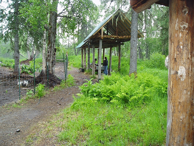 P6180245.jpg