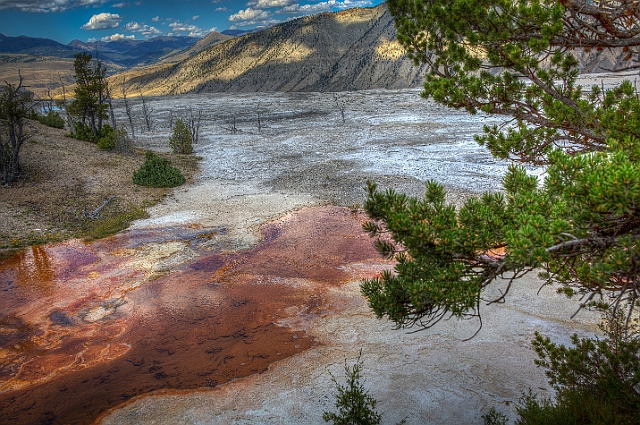 1G0A2388_89_90_91_92.jpg