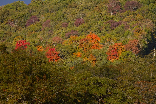 IMG_8665.jpg