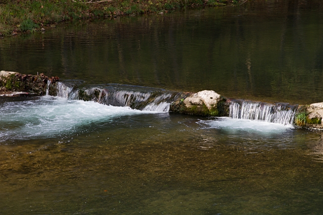 IMG_8715.jpg