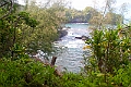 IMG_3546