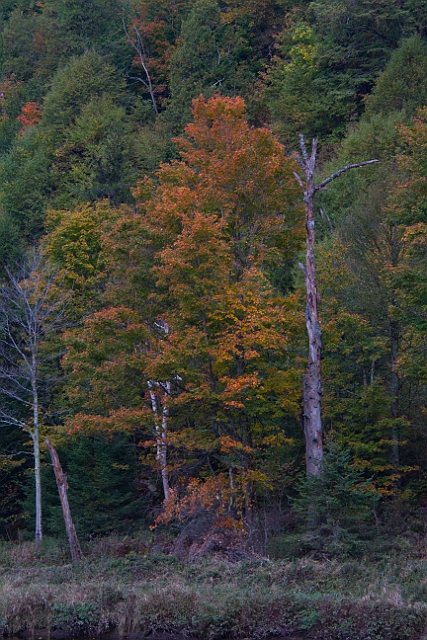 _MG_0267.jpg