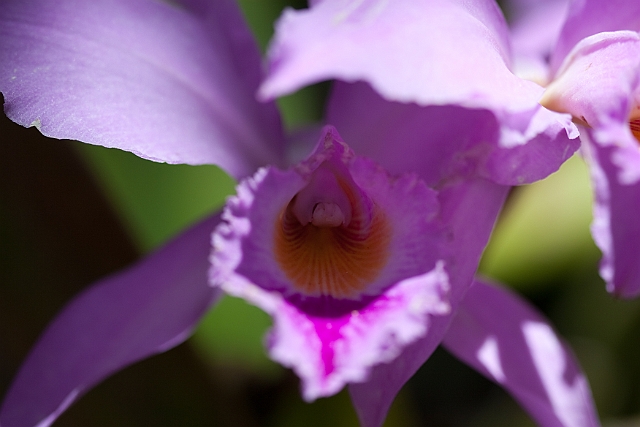 IMG_4901.jpg