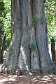 IMG_4997
