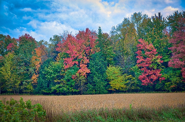 1G0A7614_AuroraHDR2018-edit.jpg