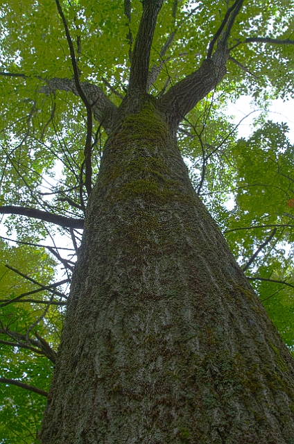 sm9_HDR2.jpg