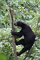IMG_6620