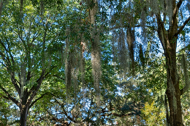 _DSC1627_8_9.jpg