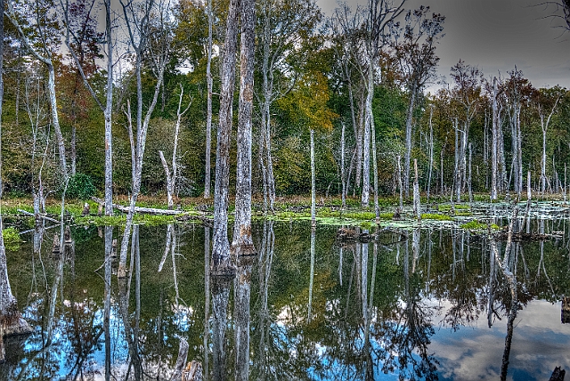 _DSC2773_4_5.jpg