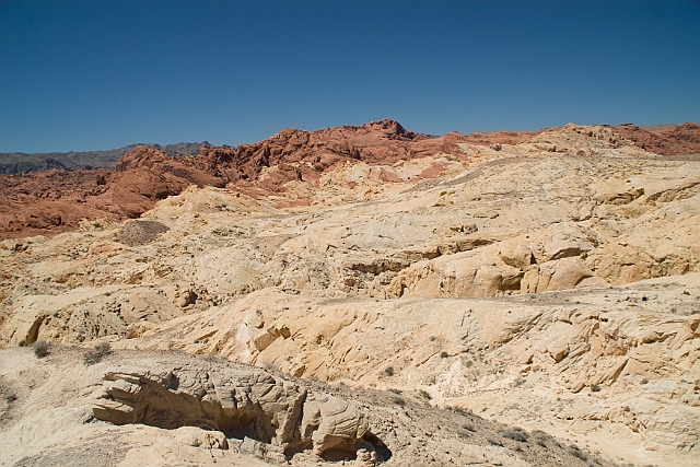 IMG_8634.jpg