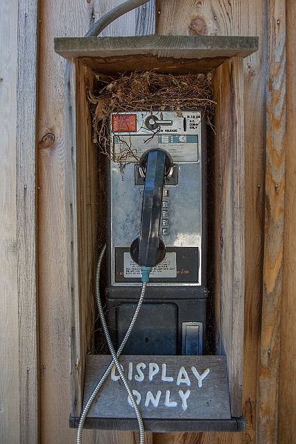 1G0A6658.jpg