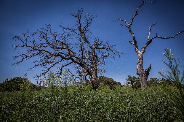 1G0A6706-HDR-Edit.jpg