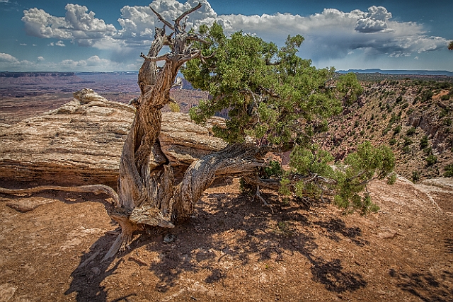 1G0B0759-HDR-Edit.jpg