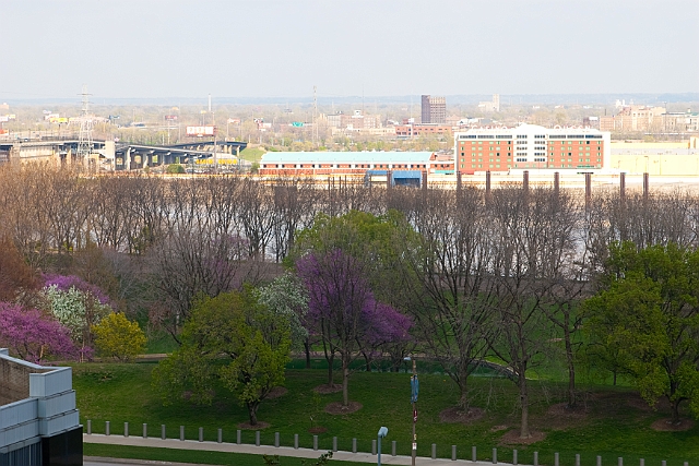 IMG_1377.jpg