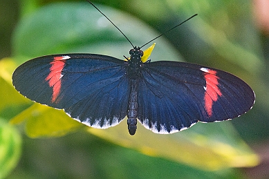 1G0A5065