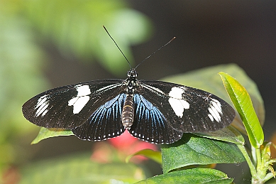 1G0A5084