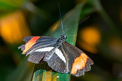 1G0A5095