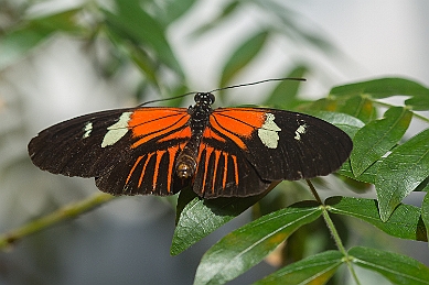 1G0A5124