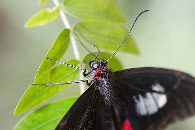 1G0A5135