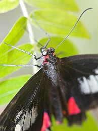 1G0A5138