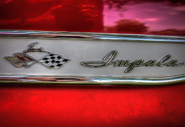 1G0A8390_1_2_3_4