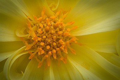 1G0A6220