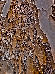 1G0A1385-7_HDR2