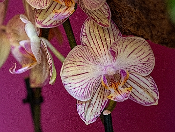 _DSC3150