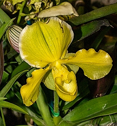 _DSC3180